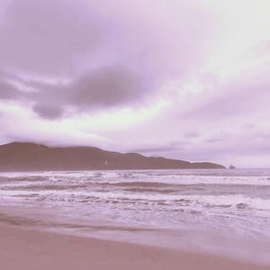 手机看片AV永久免费
